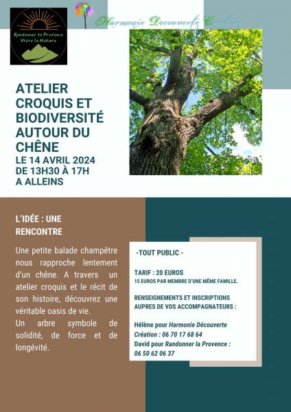 Atelier de croquis et biodiversité autour du chêne à Alleins dans les Bouches-du-Rhône