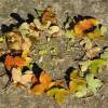 créations d'automnes land art dans les bouches du rhone