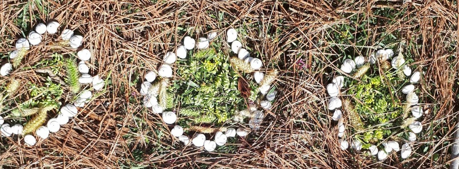 Cours de dessin, peinture, Land Art  à Lambesc pour enfants et adultes