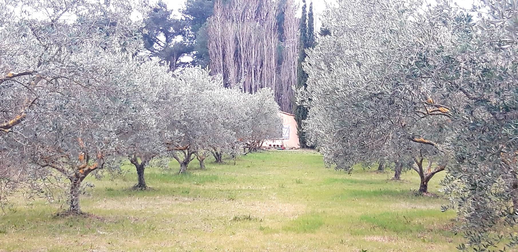 Harmonie Découverte Création