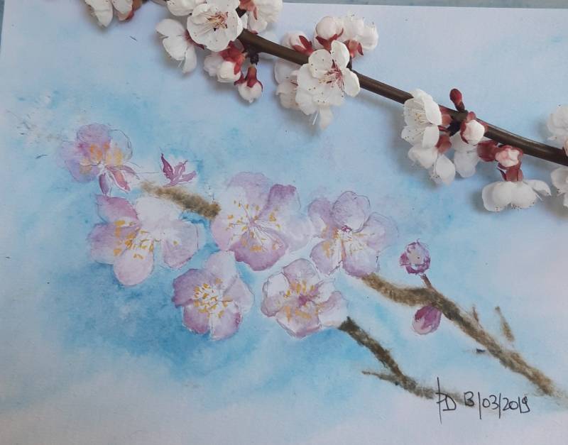 Artiste peintre pour cours de peinture à domicile à Cavaillon