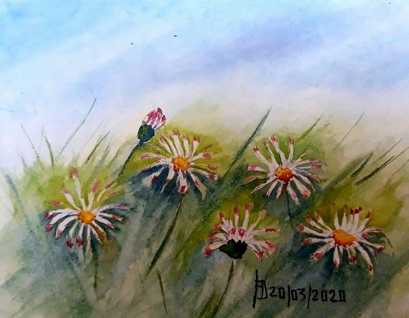 Stage aquarelle pour adultes, débutants ou confirmés, à Lambesc, proche Salon de Provence : le souffle des fleurs