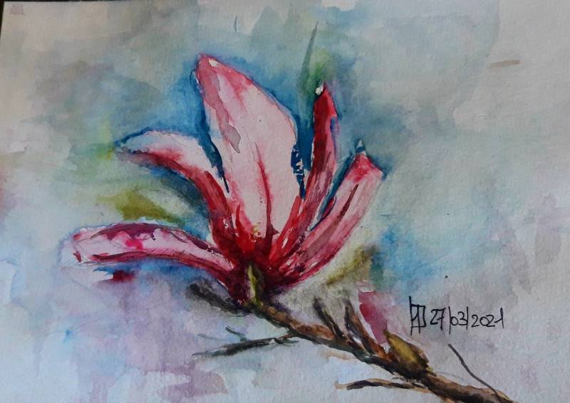 Apprendre à dessiner les fleurs proche Salon de Provence