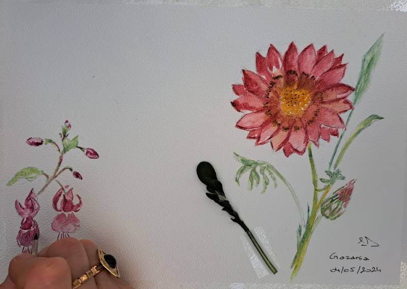 Cours particuliers de dessin ou de peinture, pour enfants et adultes à Lambesc, entre Aix-en -Provence et Salon de Provence