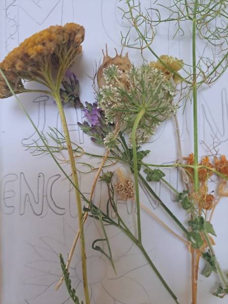 Stages pour les enfants de dessin et  de peinture, pour les vacances d'avril, proche Aix-en-Provence et Salon de Provence