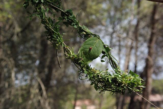 Land art pour enfants dans les bouches du rhone