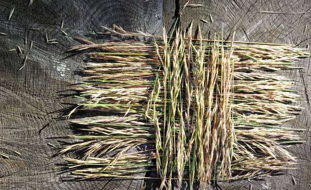 Cours de dessins pour enfants Aix-Provence