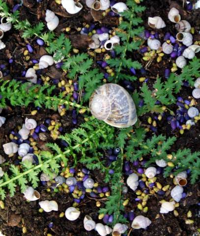 stage land art enfants en région aixoise