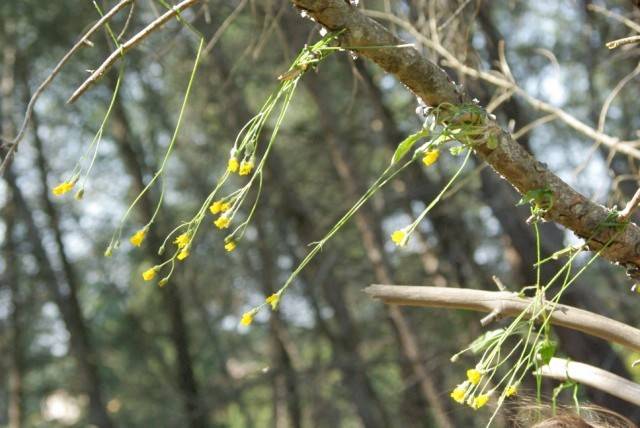 land art pour les enfants à Lambesc