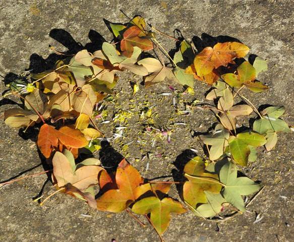 créations d'automnes land art dans les bouches du rhone