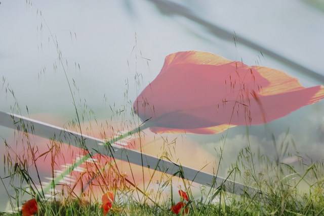 Vacances d'avril, stage land art pour les enfants à Lambesc, proche Aix en Provence