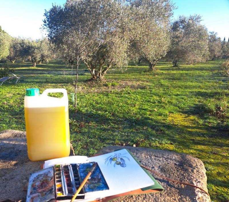 Stages aquarelle pour adultes, débutants ou confirmés, à Lambesc, proche Salon de Provence, 3 sessions au coeur de l'oliveraie