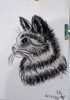 Nos prestations sur le secteur de Aix-en-Provence en Provence-Alpes-Côte d'Azur 